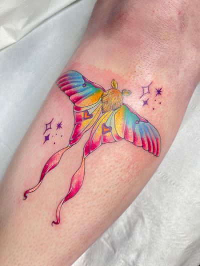 Vibrant watercolor design of a beautiful moth, expertly executed by talented artist Beyza Taser.