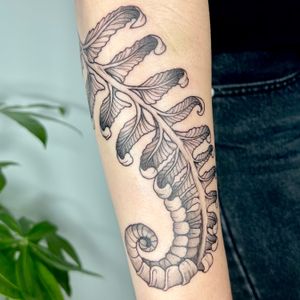 Get an enchanting illustrative tattoo of a plant, fern, and branch by the talented artist Michelle Harrison.