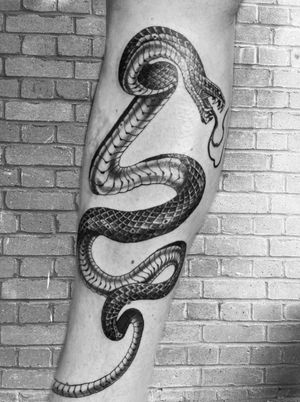 Embrace the beauty of a gracefully coiled snake in this black and gray illustrative tattoo by Gabriele Lacerenza.