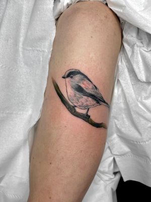 Experience the beauty of nature with this stunning realistic bird tattoo by talented artist Beyza Taser. Perfect blend of realism and illustrative style.