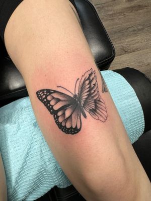 Butterfly Angel 🦋 #blackandgray 
