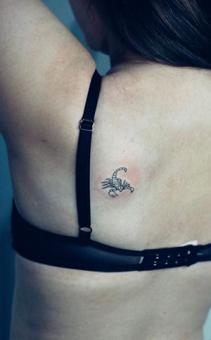 Get a unique and intricate scorpion tattoo by Tal, featuring fine line and illustrative style for a standout look.