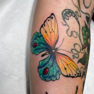 Get mesmerized by the vibrant colors and intricate details of this stunning illustrative butterfly tattoo! Created by the talented artist Beyza Taser.