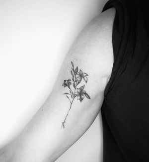 Elegant fine line tattoo featuring a small flower and intricate small lettering of a name, created by the talented artist Math.