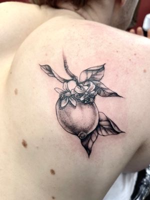 Illustrative black and gray tattoo featuring a lemon tree branch with flowers and fruit, done by Beyza Taser.