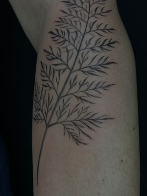 fern tattoo , fine line fern , plants tattoo