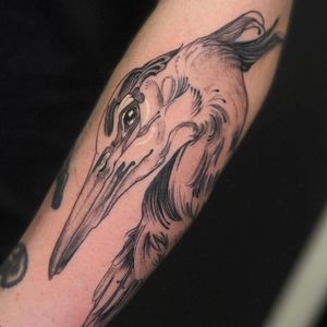 Capture the beauty of nature with this illustrative tattoo featuring a heron and crane, expertly designed by artist Holly Valley.