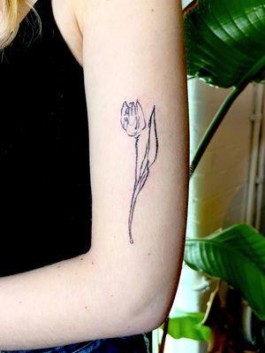 Tulip tattoo * Doodle
#Floral #Blackwork #Drawing 