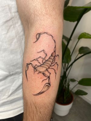 Capture the fierce beauty of a scorpion with this stunning illustrative tattoo designed by the talented artist, Charlie Macarthur.