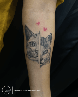 Cat realism tattoo done by Vishal Patil at Circle Tattoo Dadar 