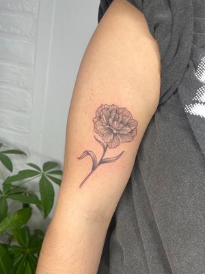 A beautifully detailed flower tattoo by the talented artist Michelle Harrison, showcasing her illustrative style.
