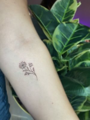 Get a stunning fine line floral tattoo by the talented Emma InkBaby, combining delicate details with bold design.
