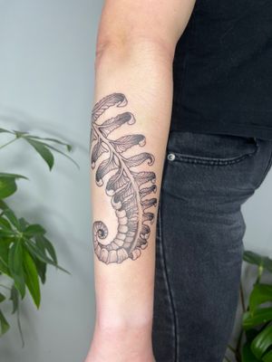 This stunning illustrative tattoo features a intricate fern design by talented artist Michelle Harrison. A perfect choice for nature lovers.