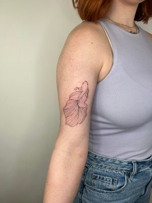 Experience the intricate beauty of fine line and illustrative styles in this stunning fish tattoo by talented artist Emma InkBaby.