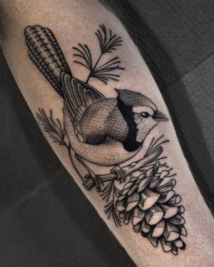 Illustrative tattoo by Andrew Garinther featuring a beautiful robin perched on a pine cone branch.