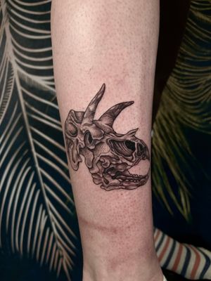 Unique illustrative tattoo design by Claudia Whiteheart featuring a combination of a skull, triceratops, and dinosaur motifs.