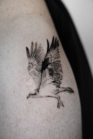 Get captivated by Viola's black and gray micro realism hawk tattoo, a masterpiece of subtle detail and powerful imagery.