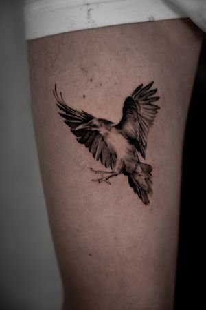 Experience the beauty of micro realism with this stunning black and gray raven tattoo by the talented artist Viola.