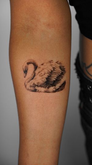 Elegant black and gray swan tattoo by artist Viola, capturing the beauty of nature in intricate detail.