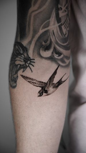 Get a stunning black and gray micro realism tattoo of a bird swallow done by the talented artist, Viola.
