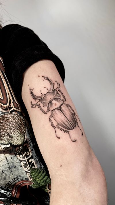Get a stunning black and gray beetle tattoo by the talented artist Sam. A unique and intricate design to showcase your individuality.