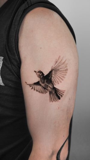 Experience the beauty of nature with this detailed black and gray sparrow tattoo, expertly done in micro realism style by artist Viola.