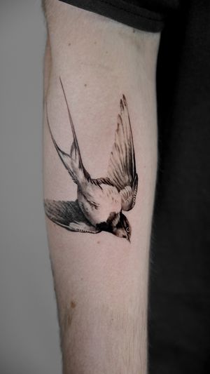 Get a stunning black and gray swallow tattoo with intricate details, expertly done by Viola in micro realism style.