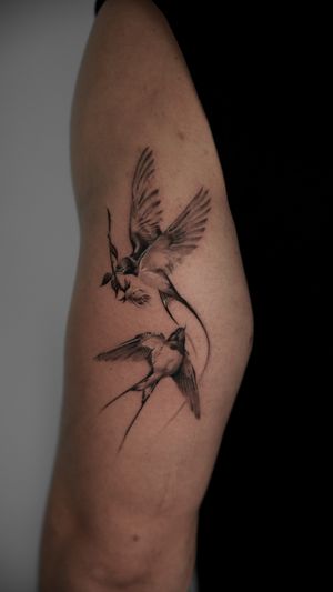 Stunning black and gray tattoo of a swallow with intricate details, surrounded by a delicate rose. Created by the talented artist Viola.