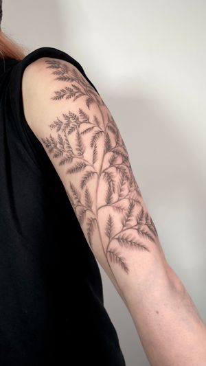 A beautiful black and gray illustrative tattoo of a delicate fern branch, expertly done by Sam.