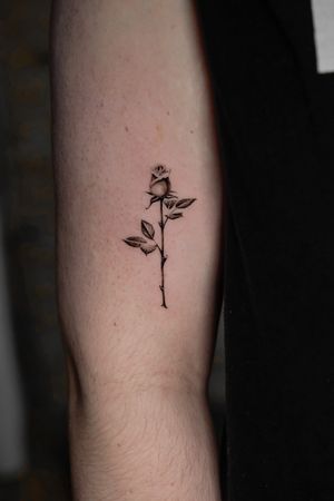 Elegant black and gray micro realism tattoo of a delicate rose, expertly done by the talented artist Viola.