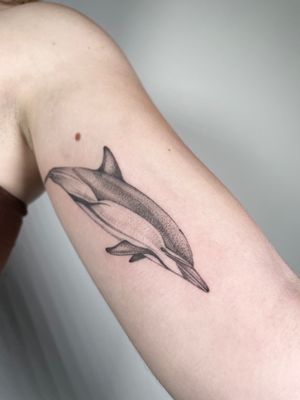 This black and gray illustrative dolphin tattoo by Sam captures the playful spirit of these majestic creatures. Dive into the world of marine beauty!