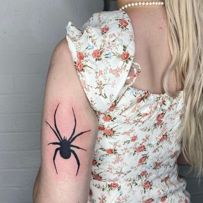 Spider 🕷️ 