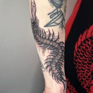 Get inked with a unique illustrative centipede design by the talented artist Zanzi La Vey. Perfect for those who love nature-inspired tattoos.