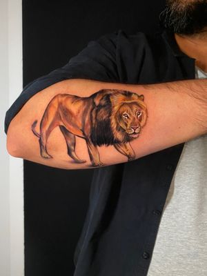 Experience the beauty of nature with this stunning lion tattoo in vibrant colors, created by renowned artist Marie Terry.