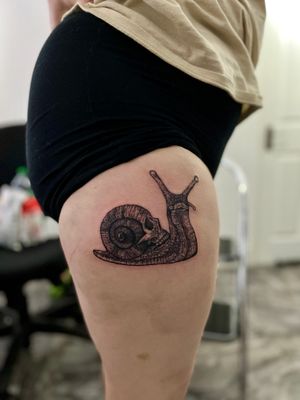 Snail with a skull shell