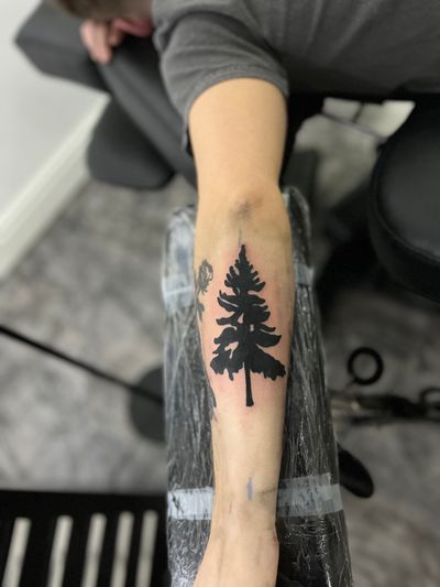 Blackwork pine tree
