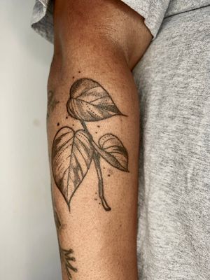 Pothos plant illustrative forearm