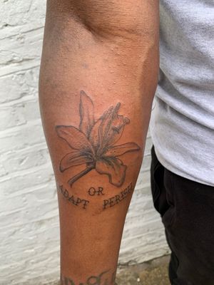 Small illustrative tattoo of an orchid in delicate lettering, perfect for dark skin tones. By jadeshaw_tattoos.