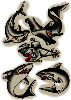 Traditional shark flash