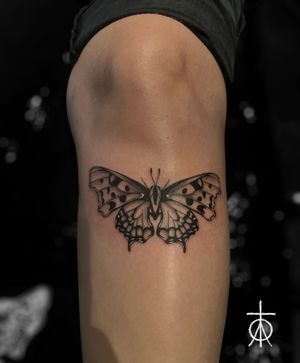 Butterfly Tattoo #butterflytattoo #finelinetattooartist #claudiafedorovici #tattooartistsamsterdam #tempesttattooamsterdam 