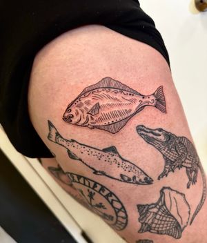 Illustrative tattoo of a flounder fish in woodcut style by Miss Vampira.