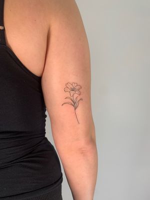 Elegant and minimalistic lily tattoo by Chloe Hartland, featuring fine line work and illustrative style.