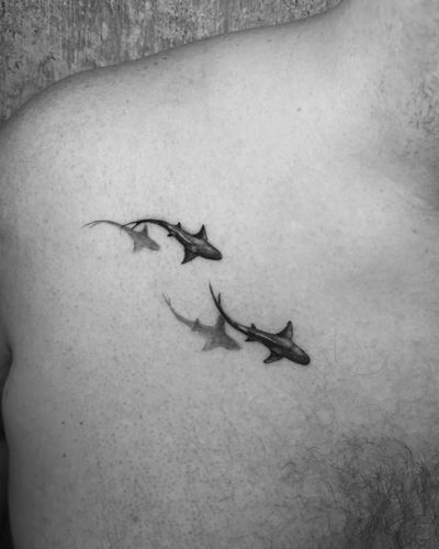 Beautiful representation of two sharks realistically executed by Gabriele Lacerenza, who managed to give a unique touch to this fantastic design. 