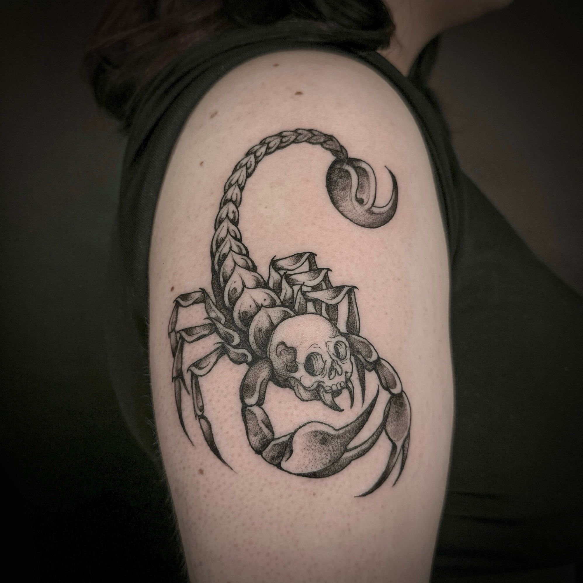 Skull and Scorpion Illustrative Tattoo • Tattoodo