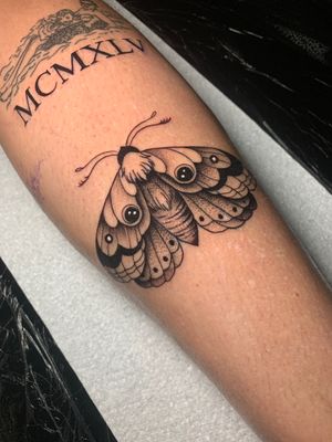 Moth in black and grey