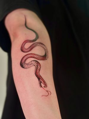 Get inked with a striking illustrative snake design crafted by the talented artists at Saka Tattoo. Embrace your wild side with this unique tattoo!
