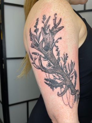 Black & grey deer tattoo  A mule deer/fish hook design in b&g