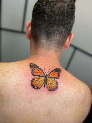 A Monarch butterfly for Tom who’s nickname in Thailand is the butterfly 