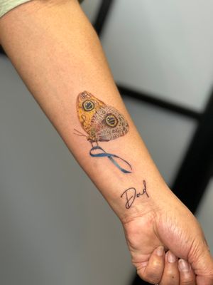 A night owl butterfly with a blue ribbon in memory of my clients father
