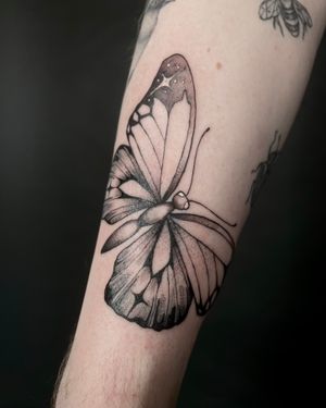 Get a stunning illustrative butterfly tattoo designed by the talented artist Kat Jennings. Perfect for those who love nature and symbolism.